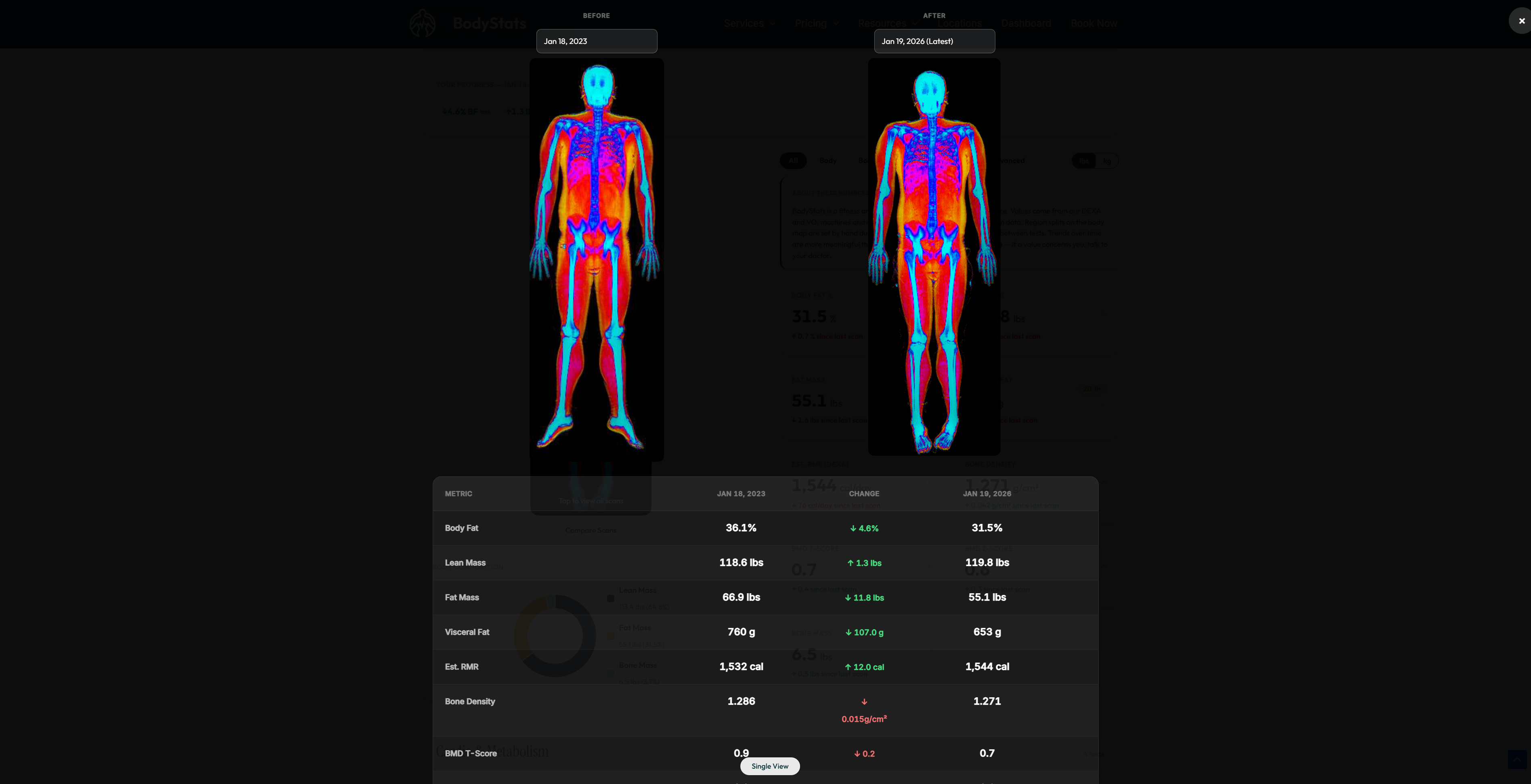 Two DEXA scans side by side showing before and after, with a delta table comparing body fat, lean mass, and bone density.