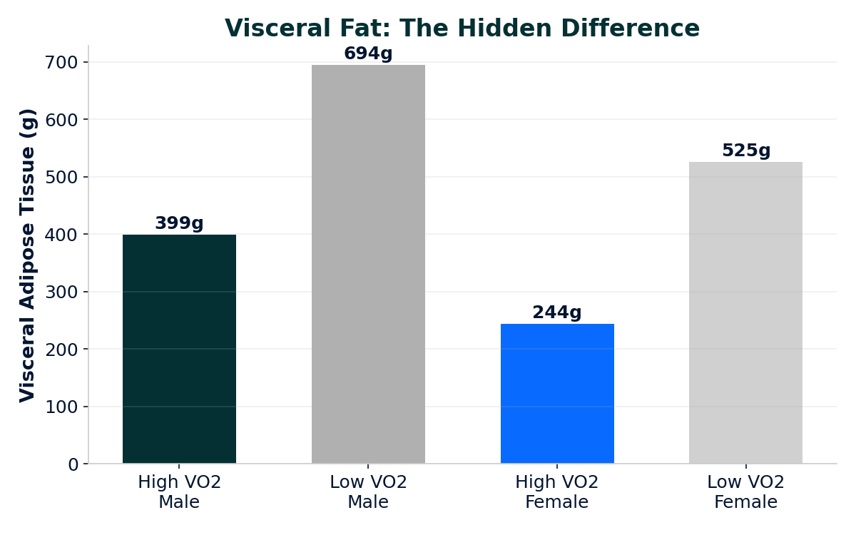 Visceral fat comparison by VO2 max and gender