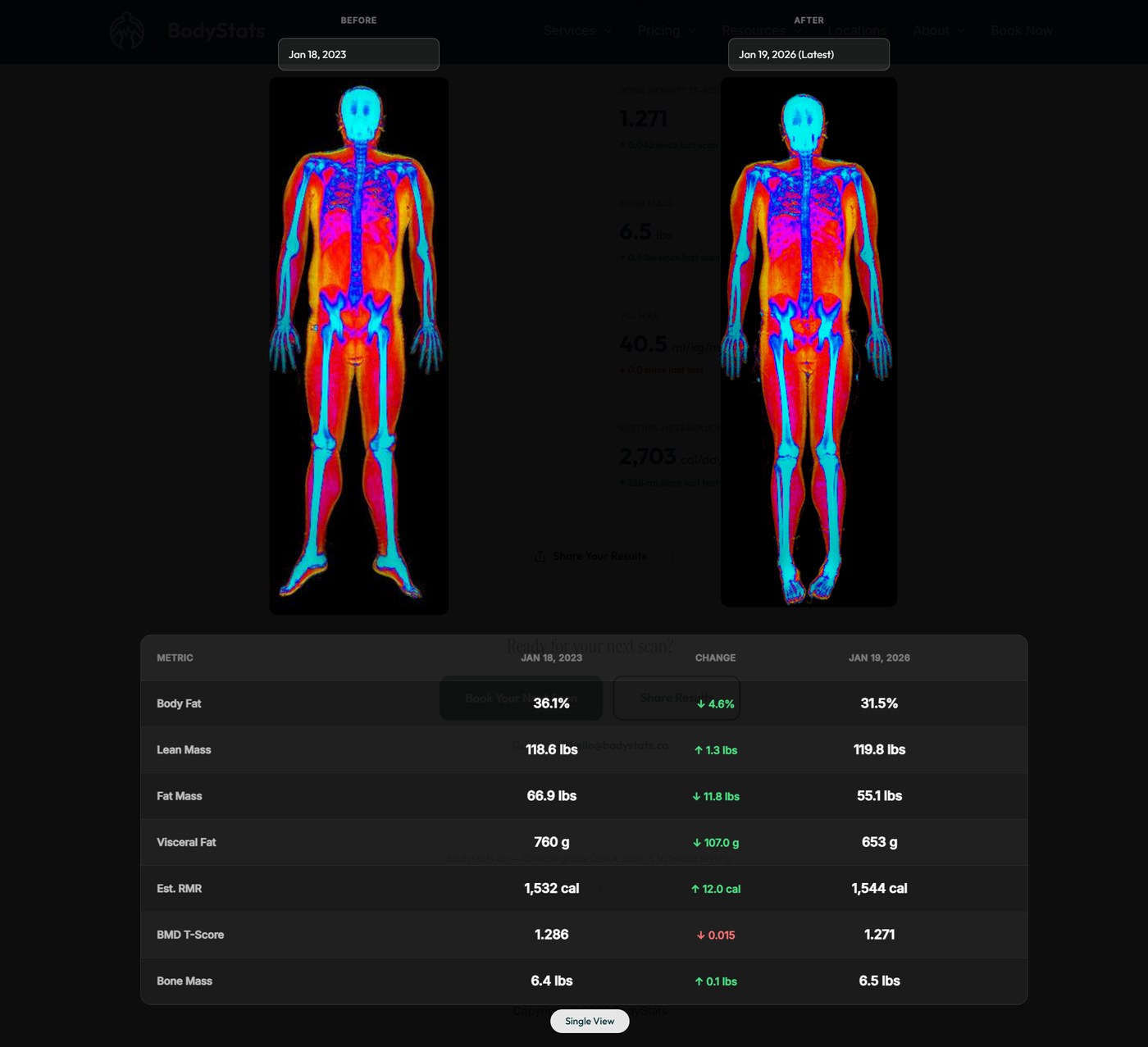 BodyStats before-after dashboard view: body fat, lean mass, fat mass, visceral fat changes between two scans