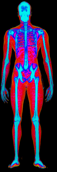 Male DEXA scan at 13.8% body fat